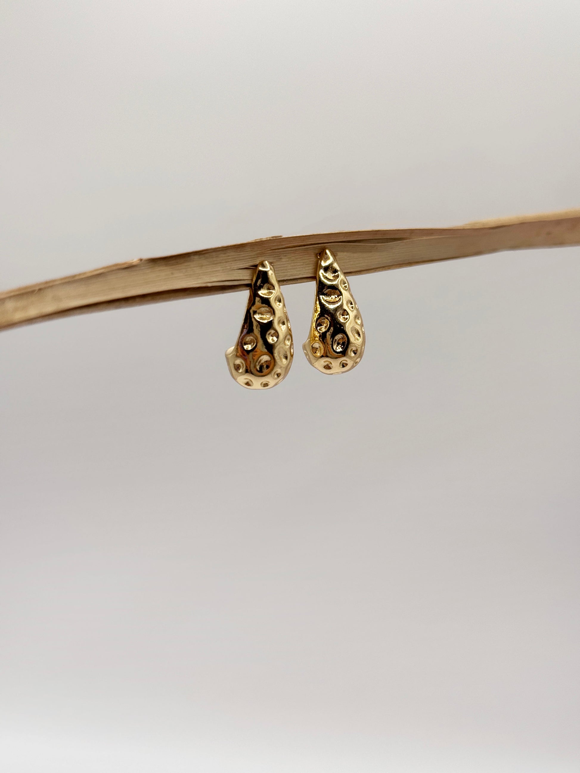 Aretes Berri