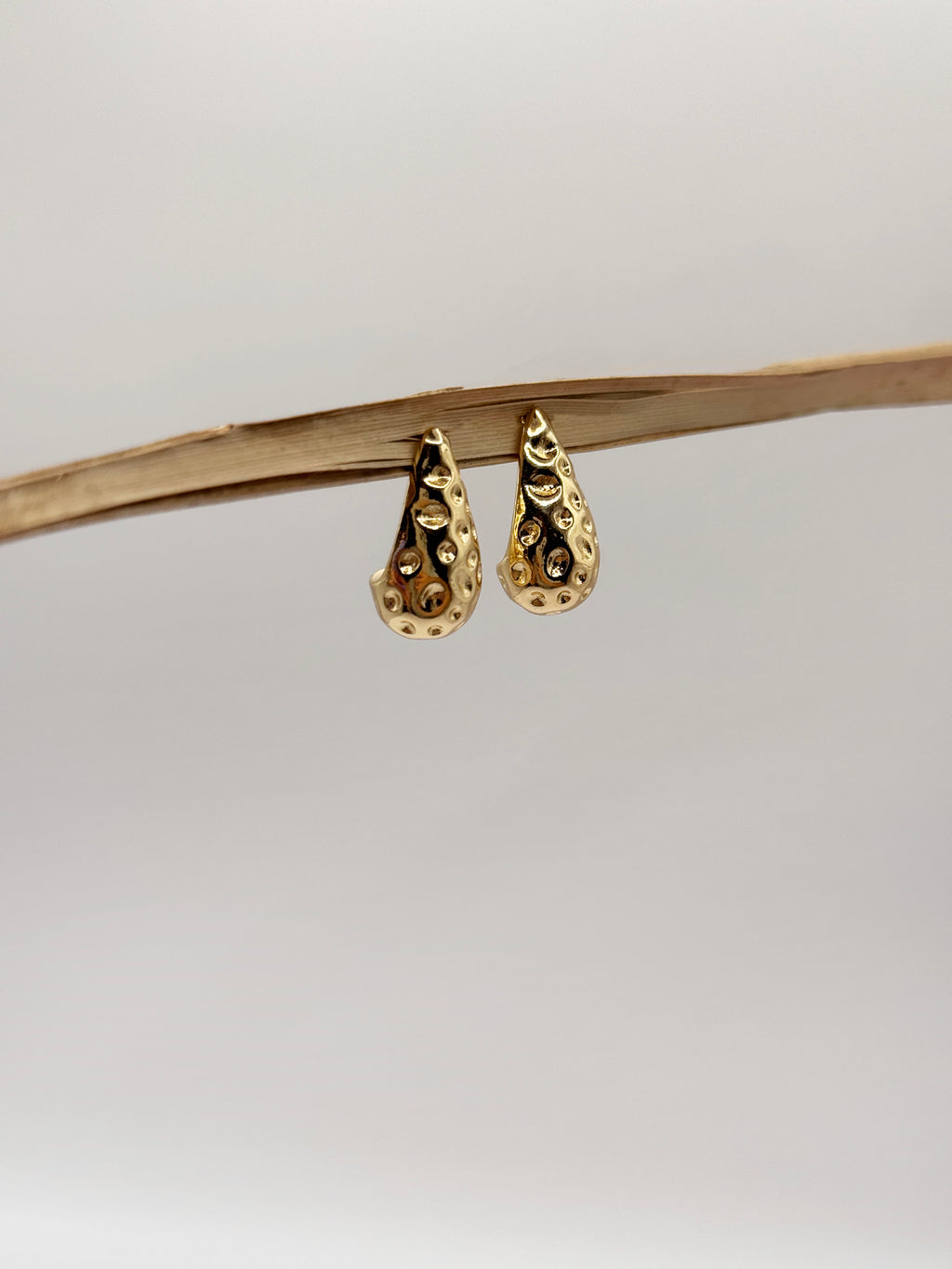 Aretes Berri
