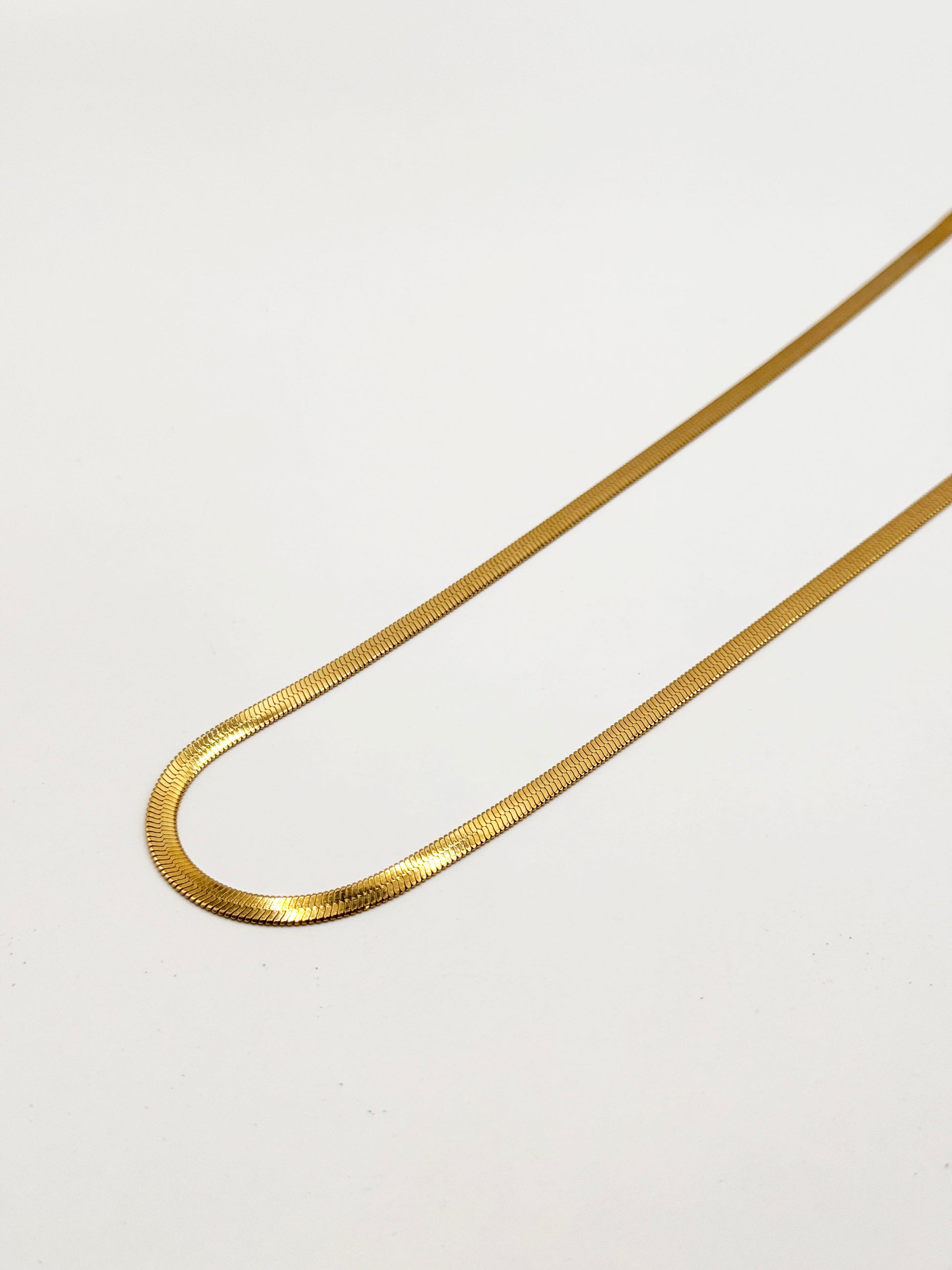 Collar Plein