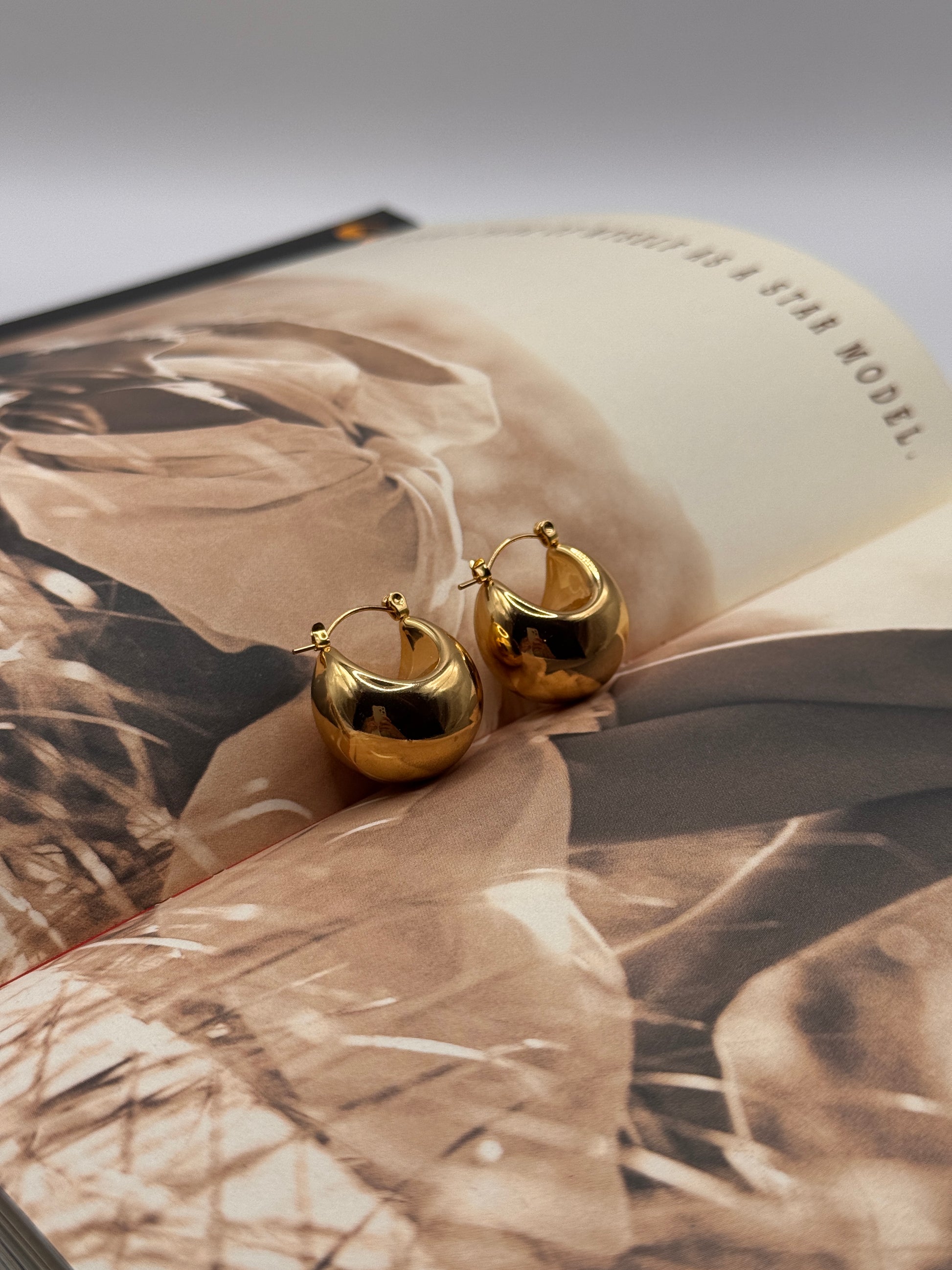 Aretes Melina